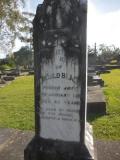 image of grave number 537246